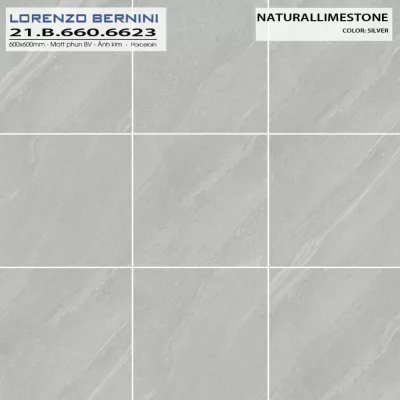 Gạch Á Mỹ 21.B.660.6623