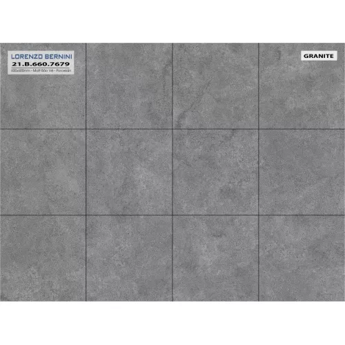 Gạch Á Mỹ 21.B.660.7679