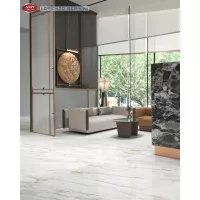 Gạch Á Mỹ 21.B.880.5028