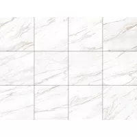 Gạch Á Mỹ 21.B.880.5028