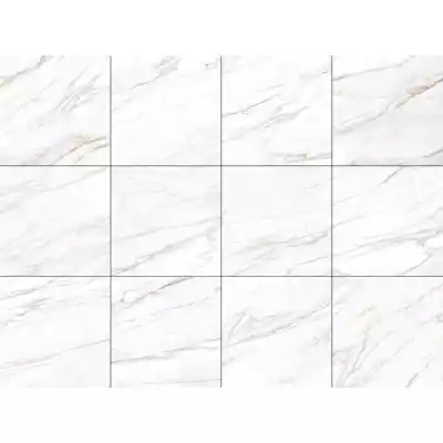 Gạch Á Mỹ 21.B.880.5028