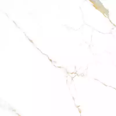 Gạch Á Mỹ 21.B.880.5520