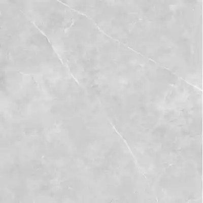 Gạch Á Mỹ 21.B.880.6501