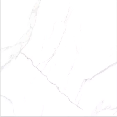 Gạch Á Mỹ 21.B.880.8801