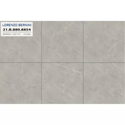 Gạch Á Mỹ 21.B.880.8854