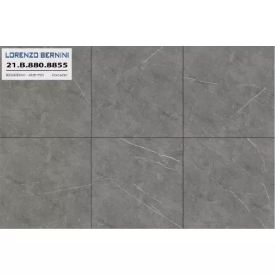 Gạch Á Mỹ 21.B.880.8855