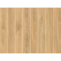 Gạch Á Mỹ 21.C.159.5550