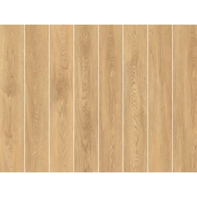 Gạch Á Mỹ 21.C.159.5550