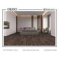 Gạch Á Mỹ 21.C.159.6500