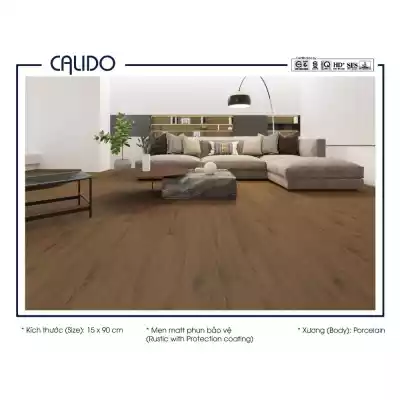 Gạch Á Mỹ 21.C.159.6520