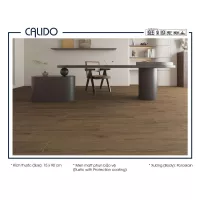 Gạch Á Mỹ 21.C.159.6520