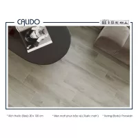 Gạch Á Mỹ 21.C.212.3565