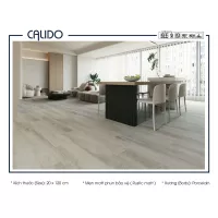 Gạch Á Mỹ 21.C.212.3565