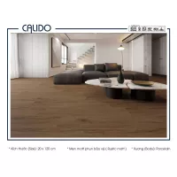 Gạch Á Mỹ 21.C.212.3566