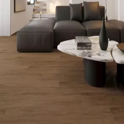 Gạch Á Mỹ 21.C.212.3566