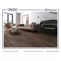 Gạch Á Mỹ 21.C.212.3567