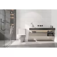 Gạch Á Mỹ 21.C.360.3336