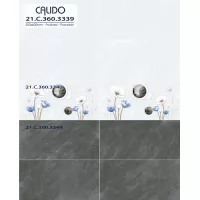 Gạch Á Mỹ 21.C.360.3339