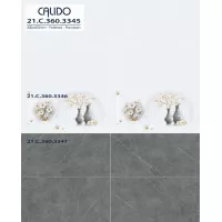 Gạch Á Mỹ 21.C.360.3346