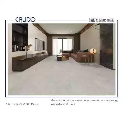 Gạch Á Mỹ 21.C.612.5254