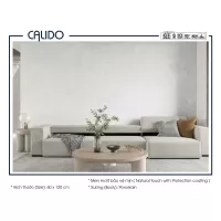 Gạch Á Mỹ 21.C.612.5255