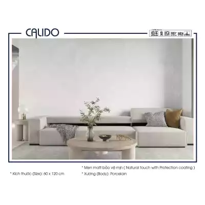 Gạch Á Mỹ 21.C.612.5255