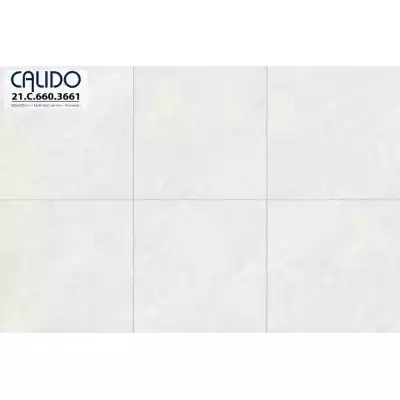 Gạch Á Mỹ 21.C.660.3661