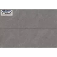 Gạch Á Mỹ 21.C.660.3663