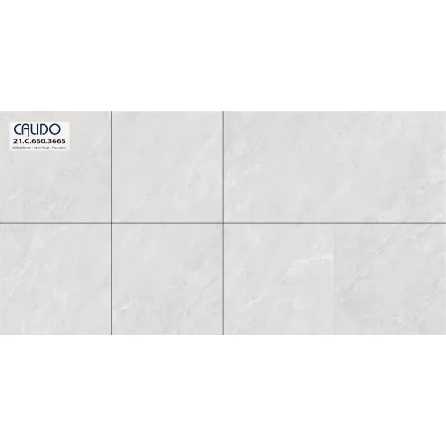 Gạch Á Mỹ 21.C.660.3665