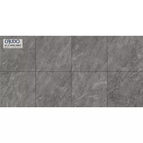 Gạch Á Mỹ 21.C.660.3667