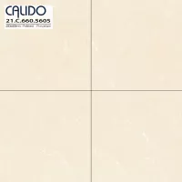 Gạch Á Mỹ 21.C.660.5605