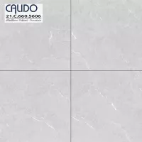 Gạch Á Mỹ 21.C.660.5606