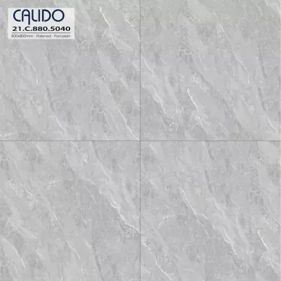 Gạch Á Mỹ 21.C.880.5040