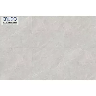 Gạch Á Mỹ 21.C.880.5061