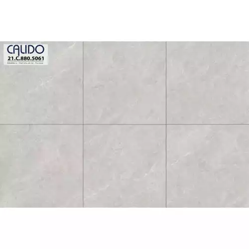 Gạch Á Mỹ 21.C.880.5061