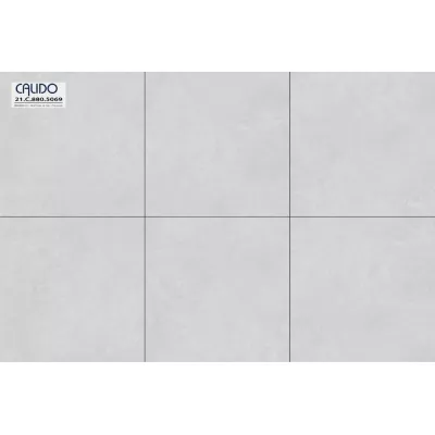 Gạch Á Mỹ 21.C.880.5069