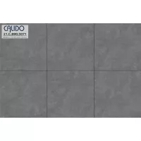 Gạch Á Mỹ 21.C.880.5071