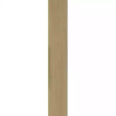 Gạch Á Mỹ 21.E.159.4109