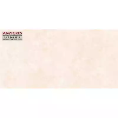 Gạch Á Mỹ 21.E.360.1016
