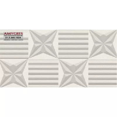 Gạch Á Mỹ 21.E.360.1024