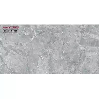 Gạch Á Mỹ 21.E.360.1031