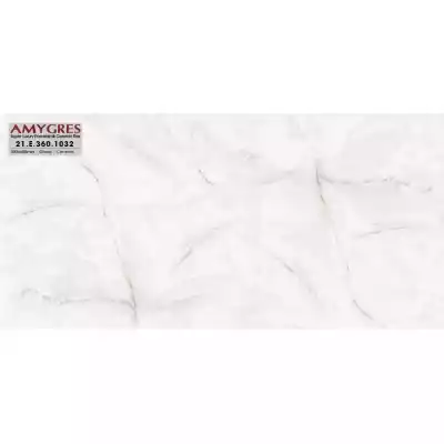 Gạch Á Mỹ 21.E.360.1032