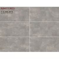 Gạch Á Mỹ 21.E.360.2015