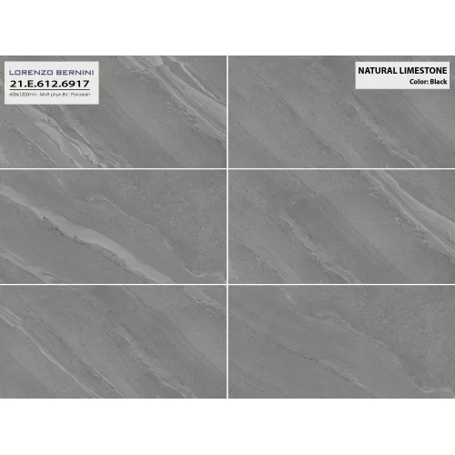 Gạch Á Mỹ 21.E.612.6917