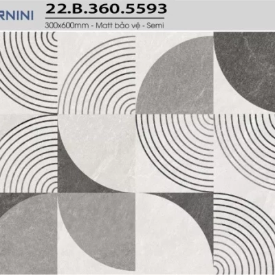 Gạch Á Mỹ 22.B.360.5593