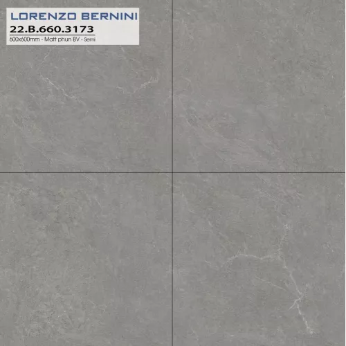 Gạch Á Mỹ 22.B.660.3173