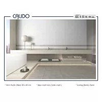 Gạch Á Mỹ 22.C.360.5384