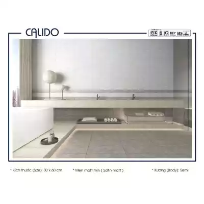 Gạch Á Mỹ 22.C.360.5384