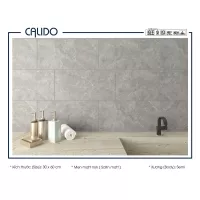 Gạch Á Mỹ 22.C.360.5385