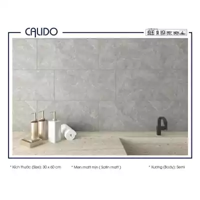 Gạch Á Mỹ 22.C.360.5385